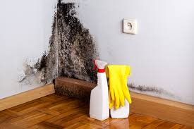 Mold Remediation for Rental Properties